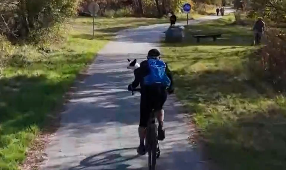 Nezvyčajný cyklista z Kamenice: Psík sa počas jazdy vozí na riadidlách
