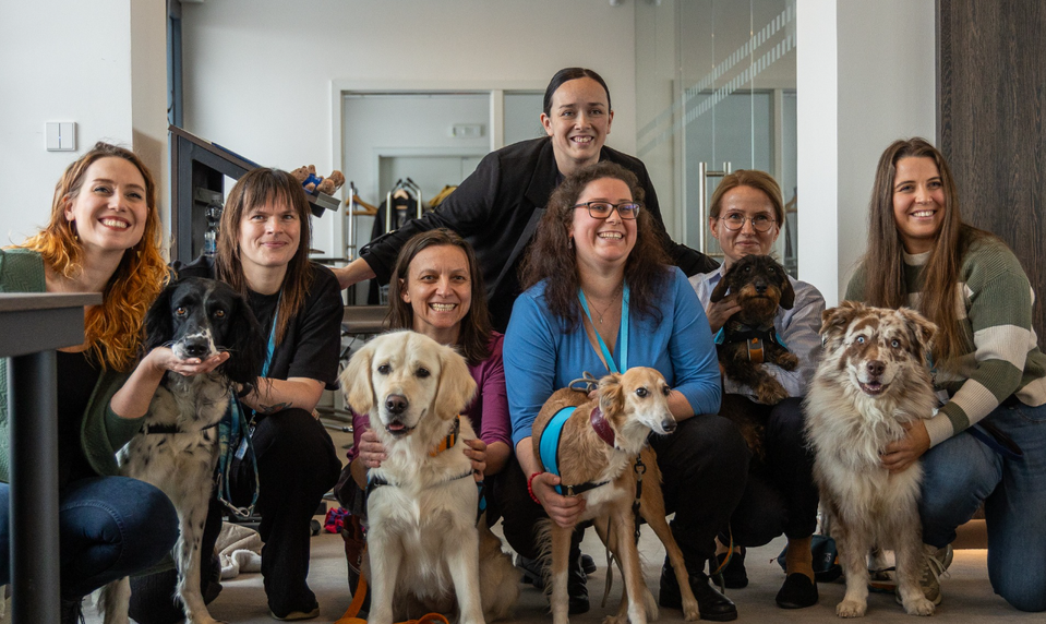 Noví asistenti výsluchu: Polícia v Prahe nasadzuje vycvičených rozkošných psíkov