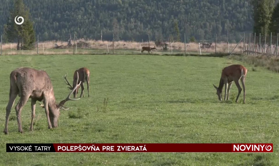POLEPŠOVŇA PRE ZVIERATÁ