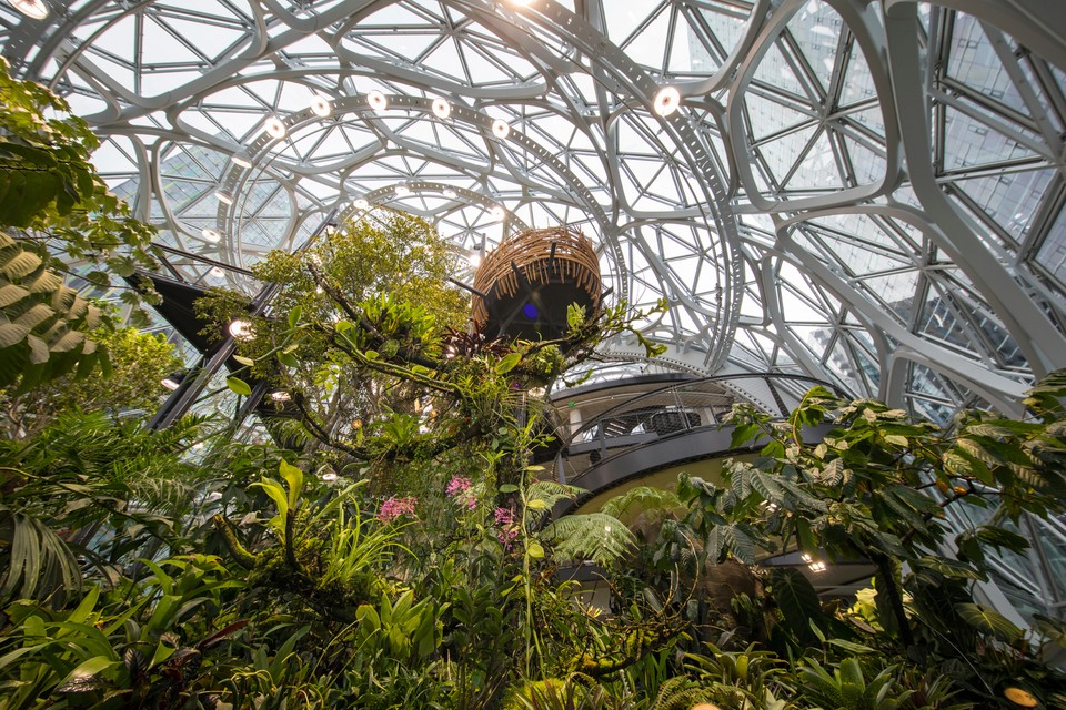 Amazon Spheres