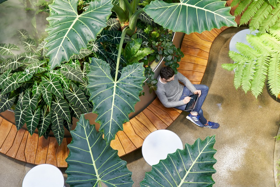 Amazon Spheres