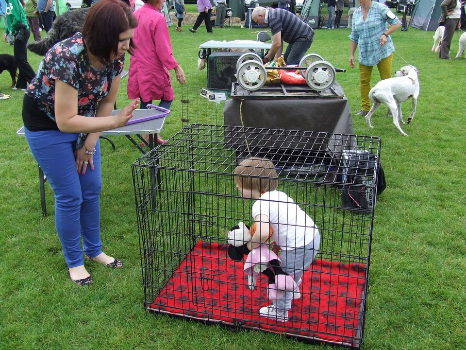 Pheobe Darina  1st Dog Show