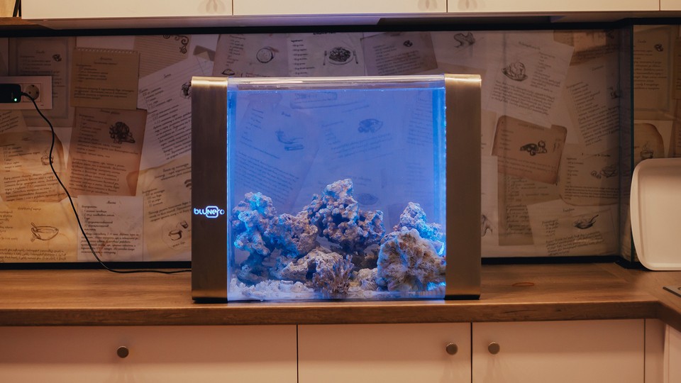 Inteligentné akvárium Bluenero