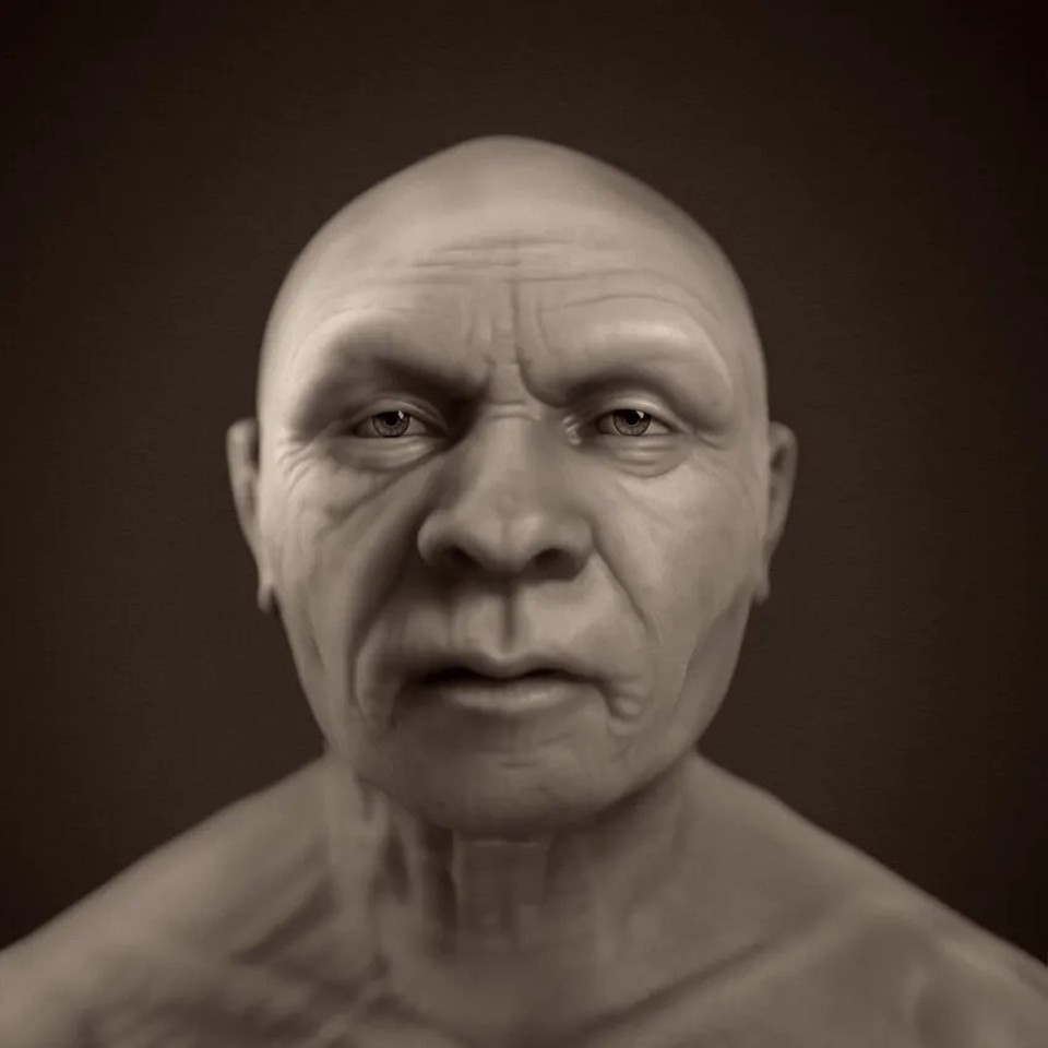 Homo neanderthalensis