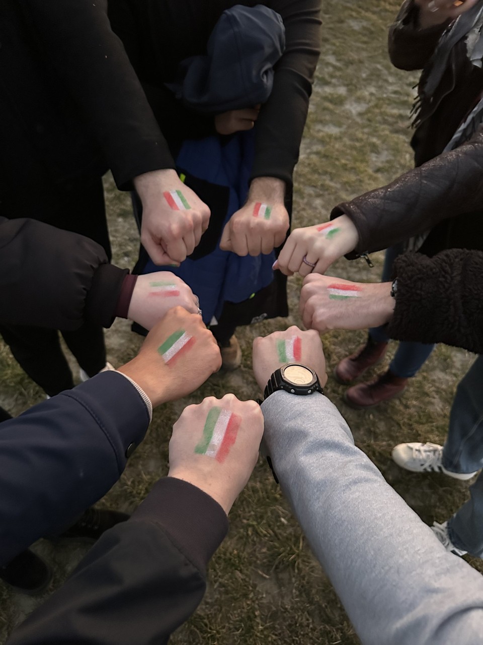 Slovenská aliancia maďarskej mládeže na proteste