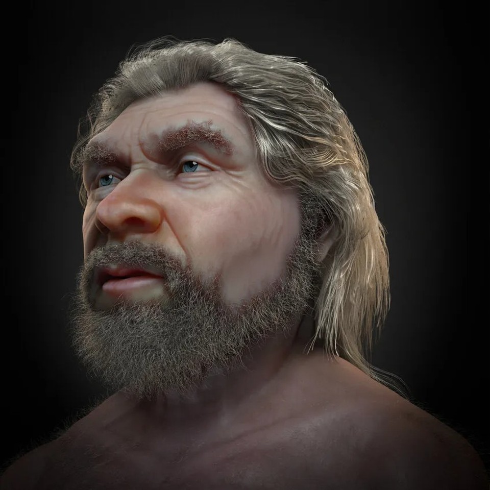 Homo neanderthalensis