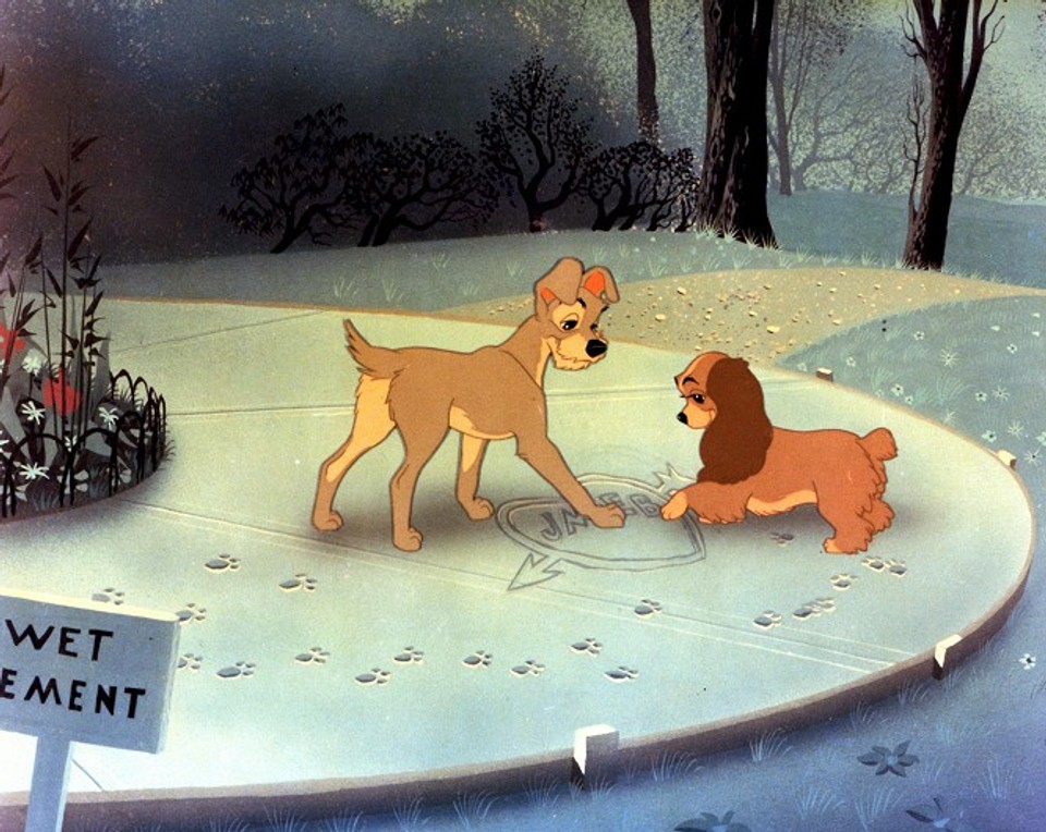 Lady a Tramp