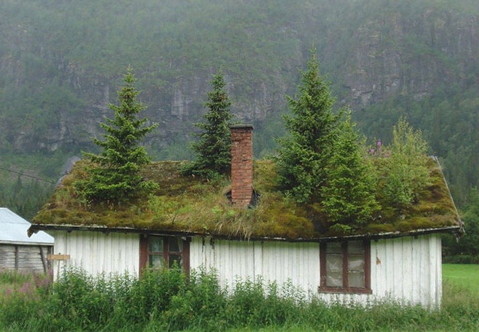 Domy so zelenou strechou