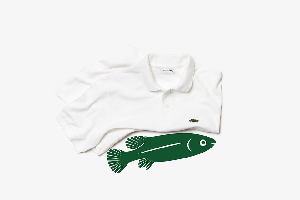 Lacoste | Save Our Species Polo