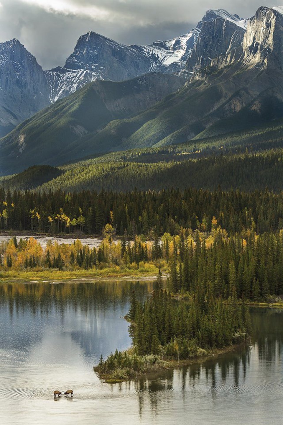 Víťazná fotka v kategórii Savci súťaže GDT Nature Photographer of the Year 2018 