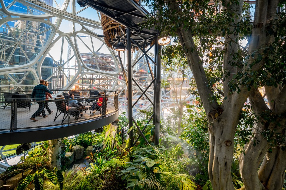 Amazon Spheres