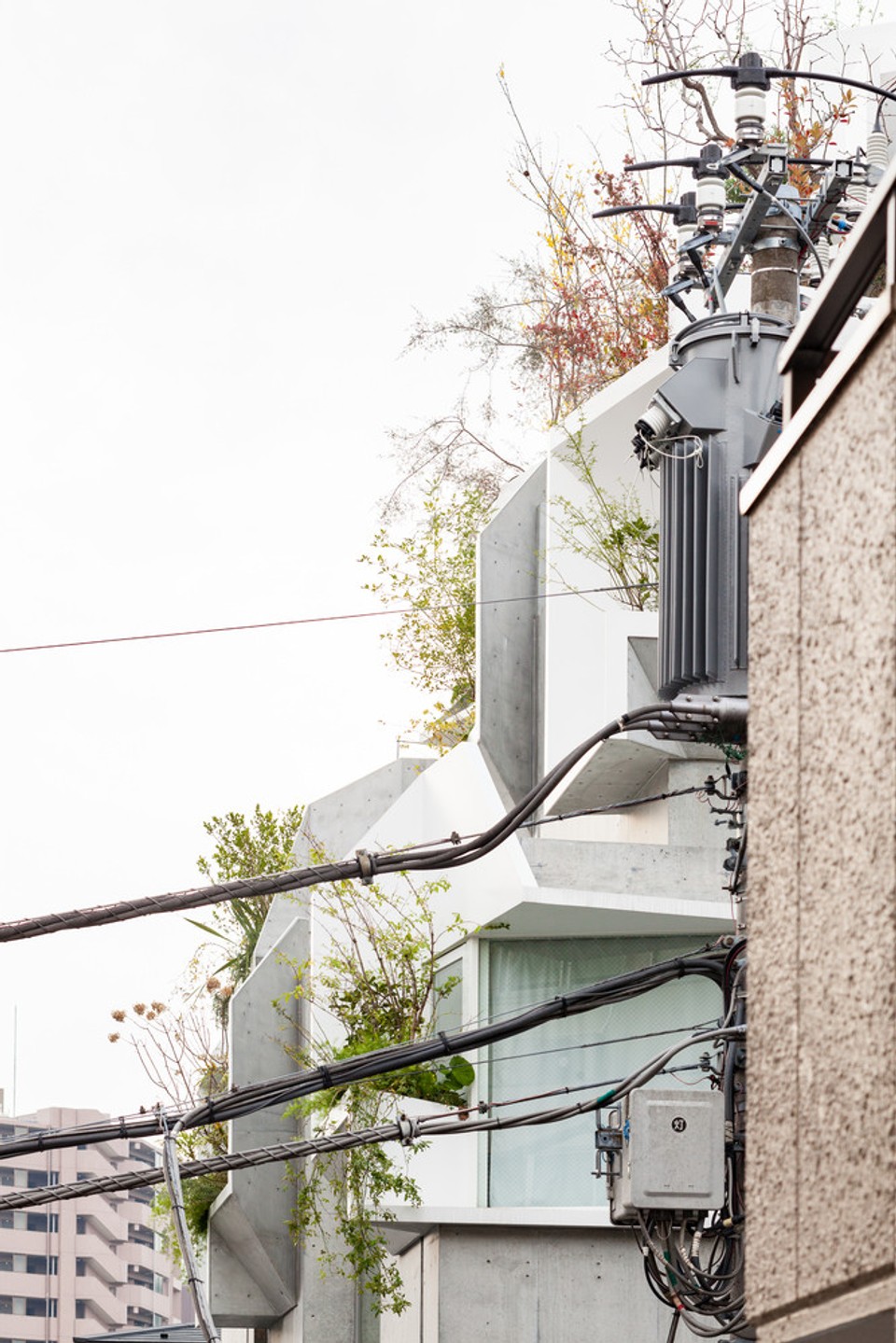 Tree-ness House / Akihisa Hirata