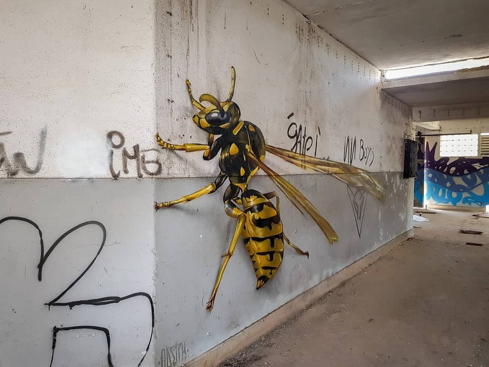 Strašidelné graffiti hmyzu