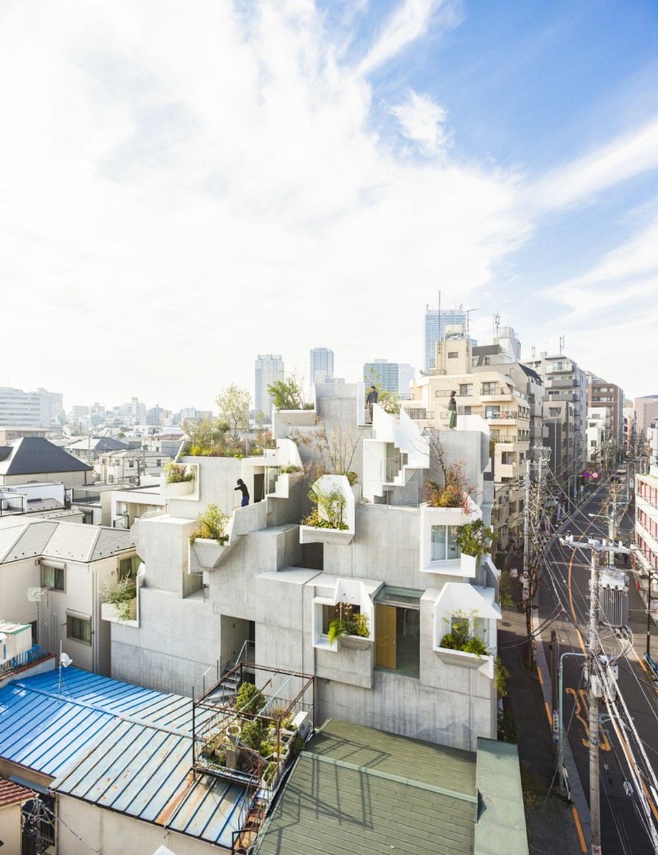 Tree-ness House / Akihisa Hirata