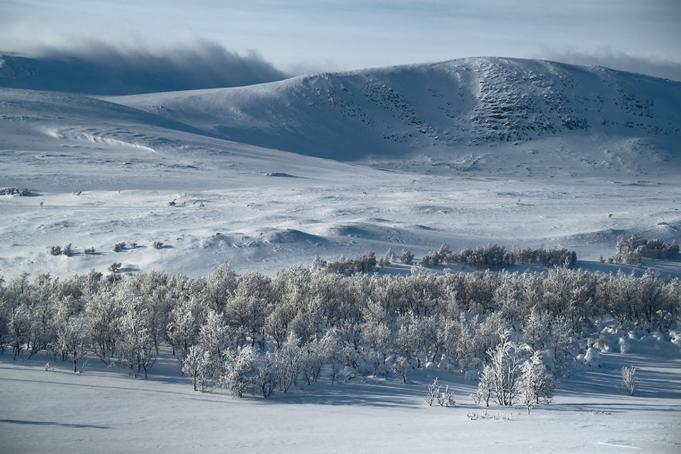 Národný park Rondane v Nórsku