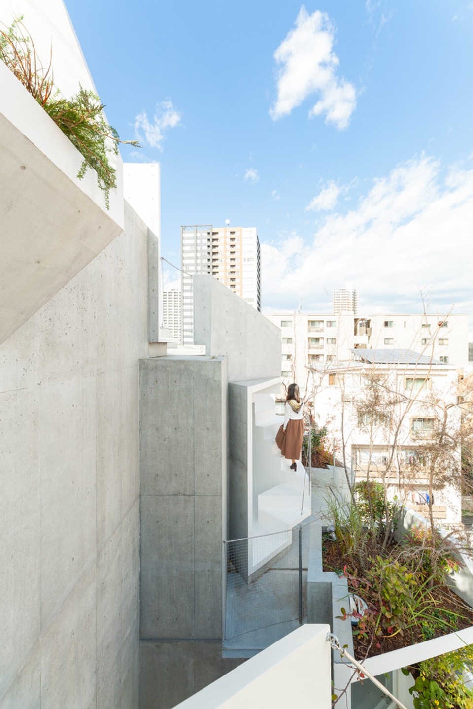 Tree-ness House / Akihisa Hirata