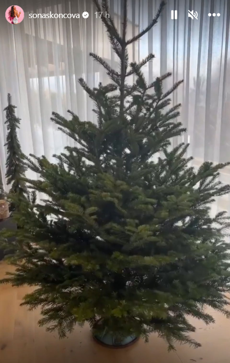 Soňa Skoncová ukázala vianočný stromček pred ozdobením 