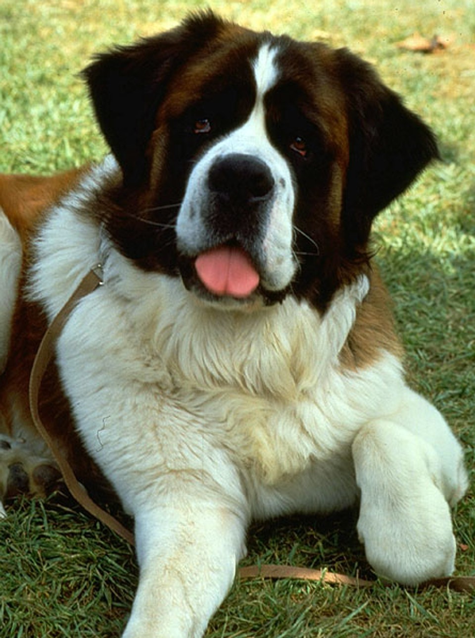Beethoven