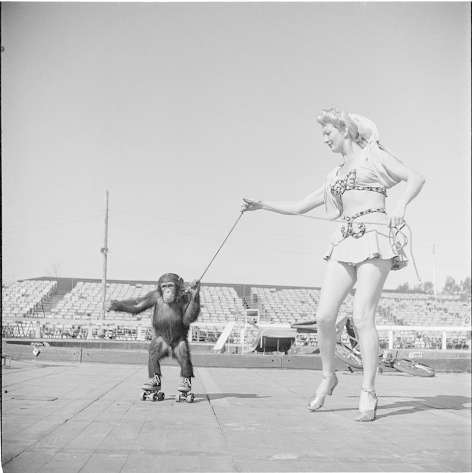 Cirkusantka s cvičenou opicou