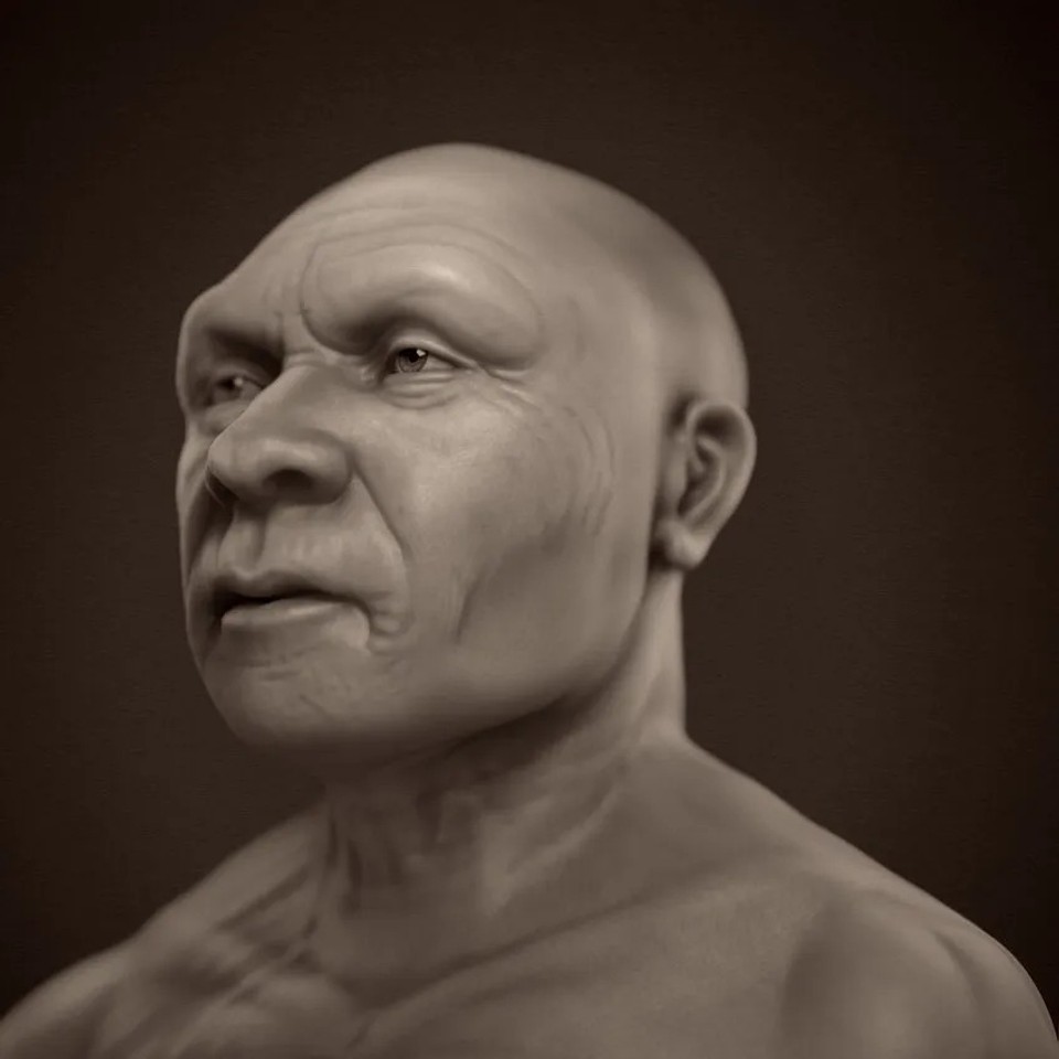 Homo neanderthalensis