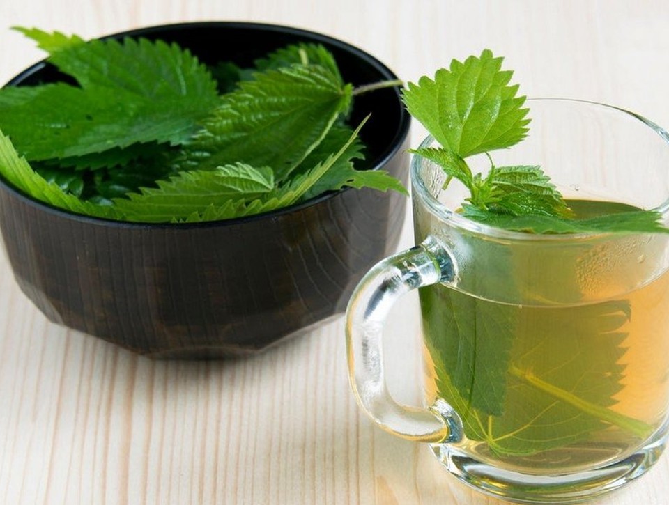 Túto bylinu nájdete všade: Podporuje vylučovanie inzulínu a chráni pečeň