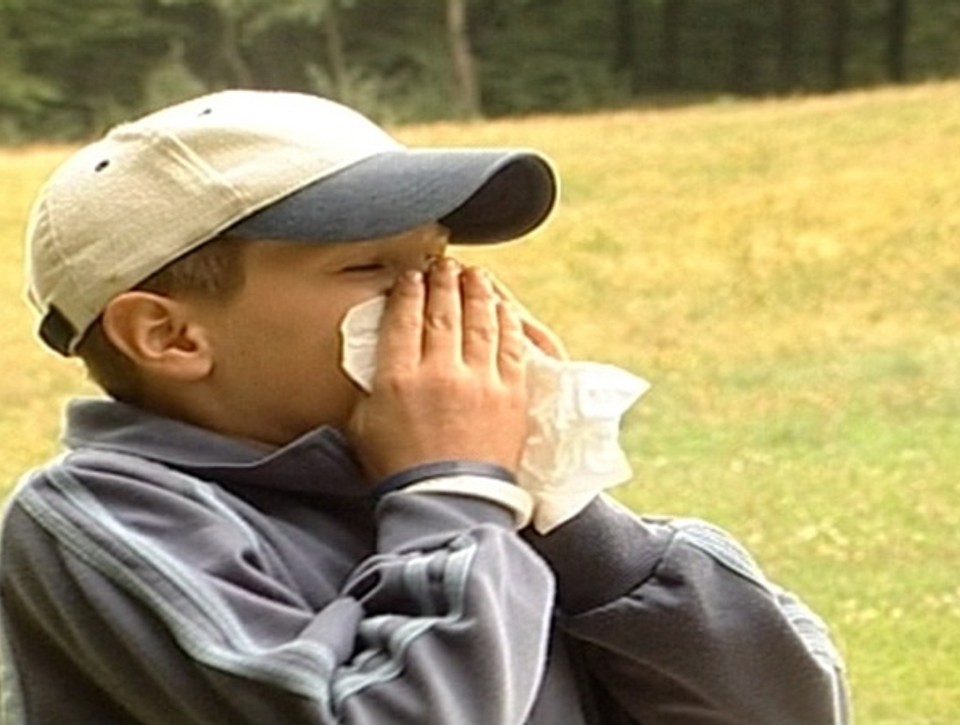 Trápi vás senná nádcha ? Toto by ste o nej mali vedieť!