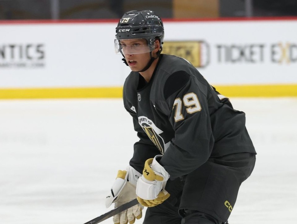 Pekarčík skóroval, Kmec s prvým gólom v AHL