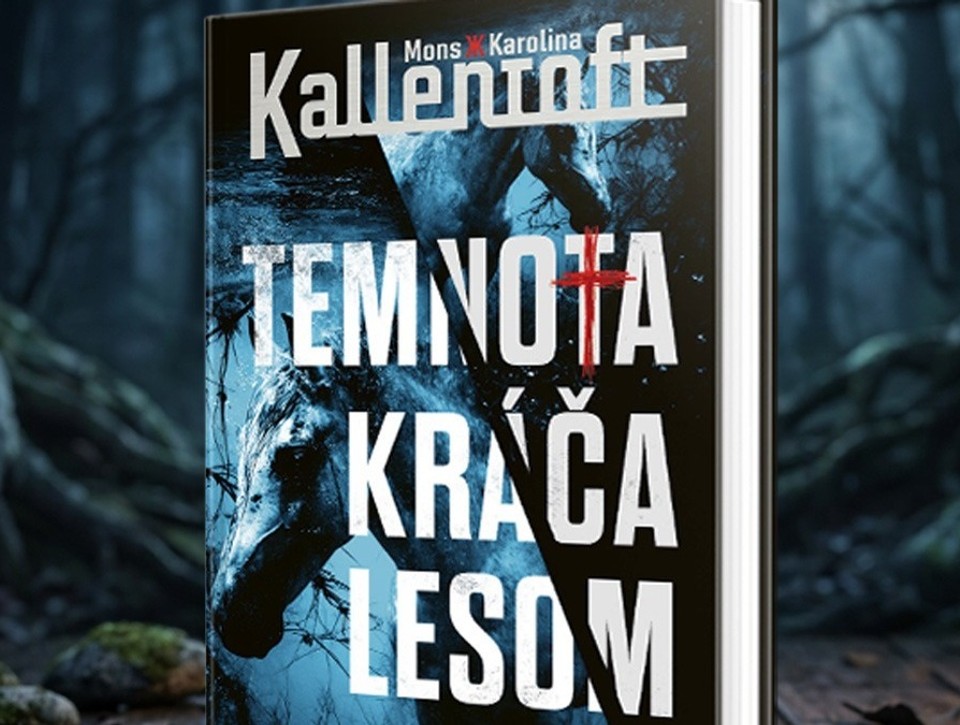 Mŕtvy chlapec, utopený kôň a les plný tajomstiev. Severský triler Temnota kráča lesom