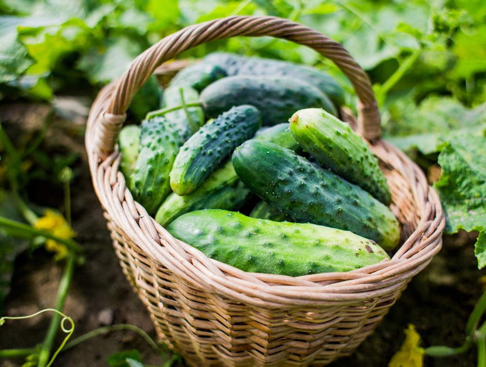 Trápia vás často svalové kŕče? Týchto 13 potravín vám rýchlo pomôže