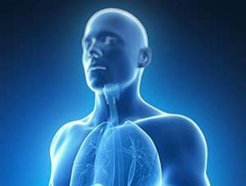 Zápal pankreasu môže zabíjať: Spúšťa ho mastné jedlo, sladkosti, alkohol