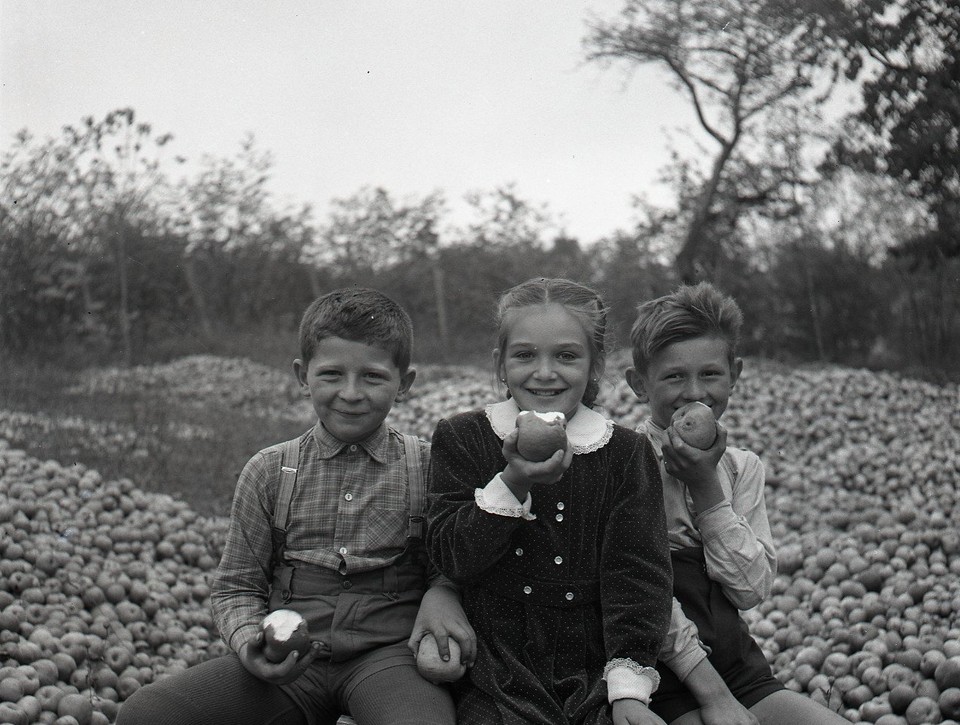 Ovocie s pamäťou krajiny: Prečo by sme nemali zabudnúť na staré odrody