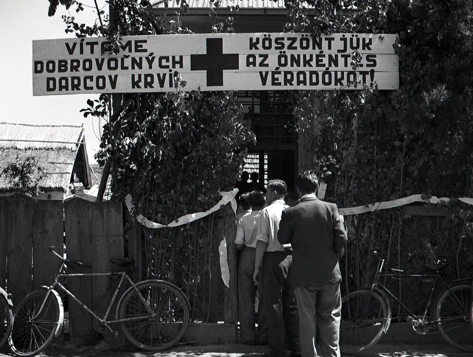 Darovanie krvi v 50. rokoch: Prídelové lístky na mäso, maslo či čokoládu