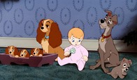 Lady a Tramp