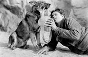Rin Tin Tin: Štvornohý hrdina