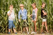 Prázdniny - Nakrúcanie v kukurici