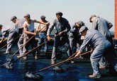 Vykupenie z vaznice Shawshank
