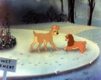 Lady a Tramp