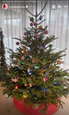 Soňa Skoncová ukázala vianočný stromček 