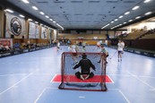 Finale Floorball SK Liga 2019_006