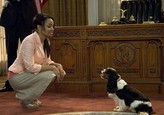 Dr. Dolittle 4 7