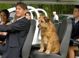 Dr. Dolittle 4 5