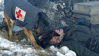 Rin Tin Tin: Štvornohý hrdina