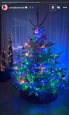 Soňa Skoncová ukázala vianočný stromček  