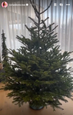 Soňa Skoncová ukázala vianočný stromček pred ozdobením 