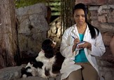 Dr. Dolittle 4 6