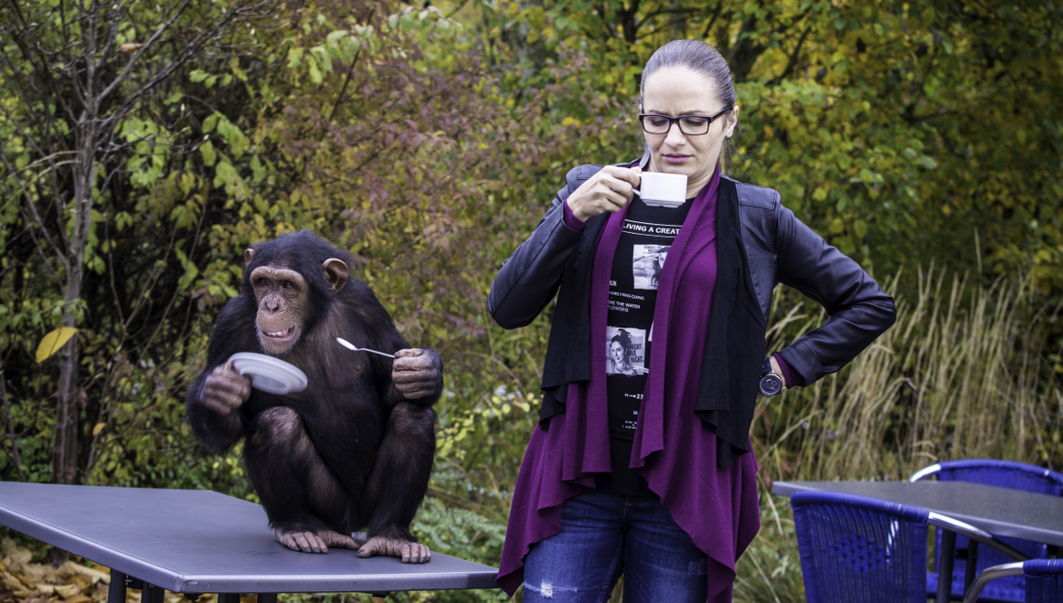 ZOO získava fanúšikov: Seriál bol včera najsledovanejším programom dňa