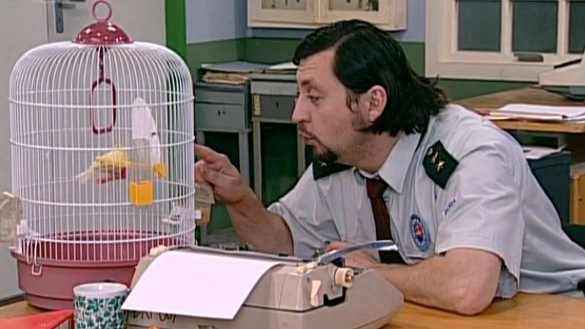 Šíri sa epidémia! Môže za ňu Šaňov kanárik?