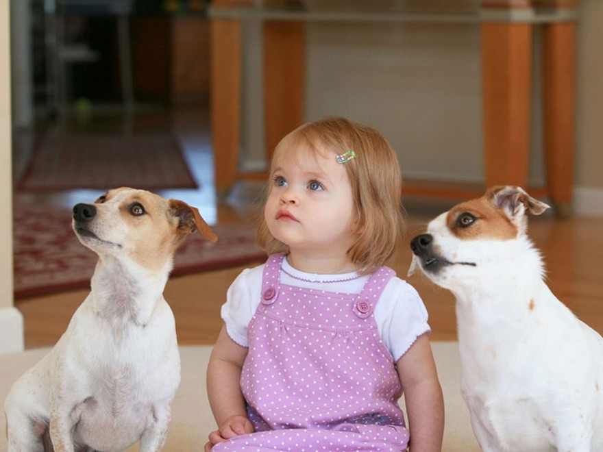 Ste pripravení na domáceho MILÁČIKA?