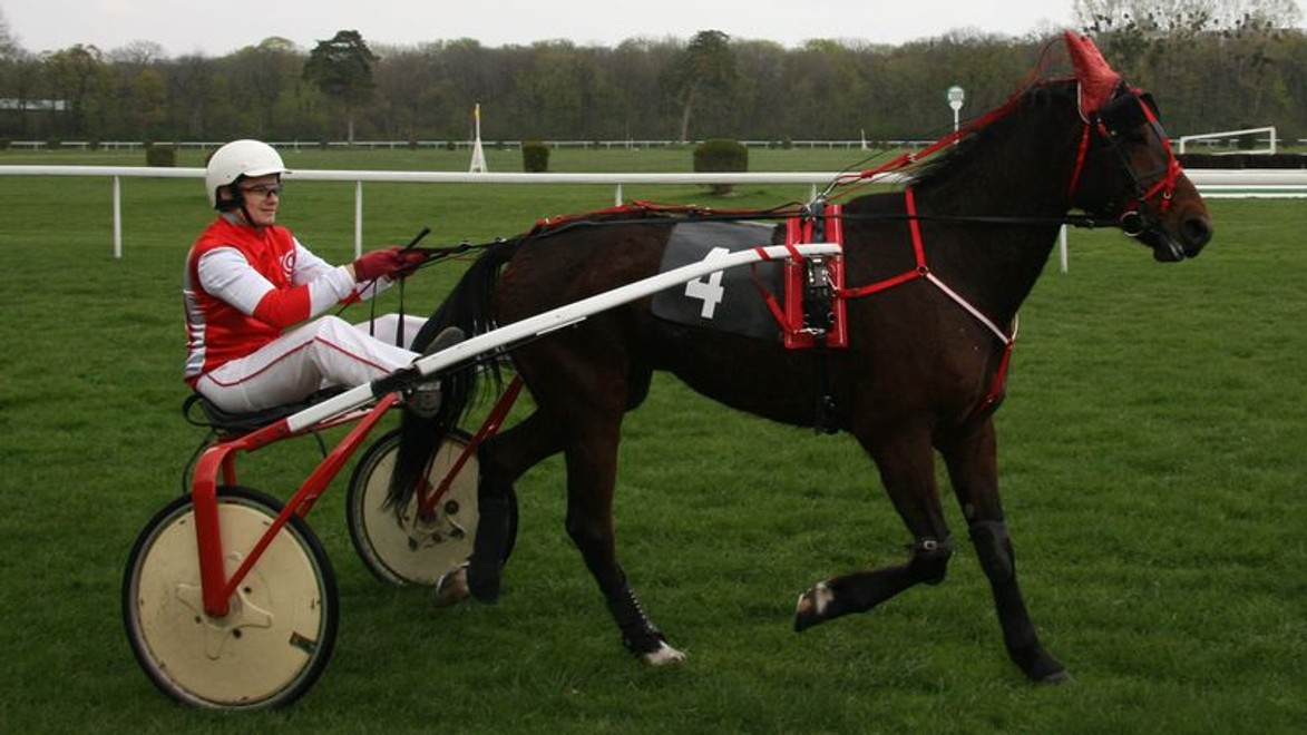 Sting lepší ako vlani