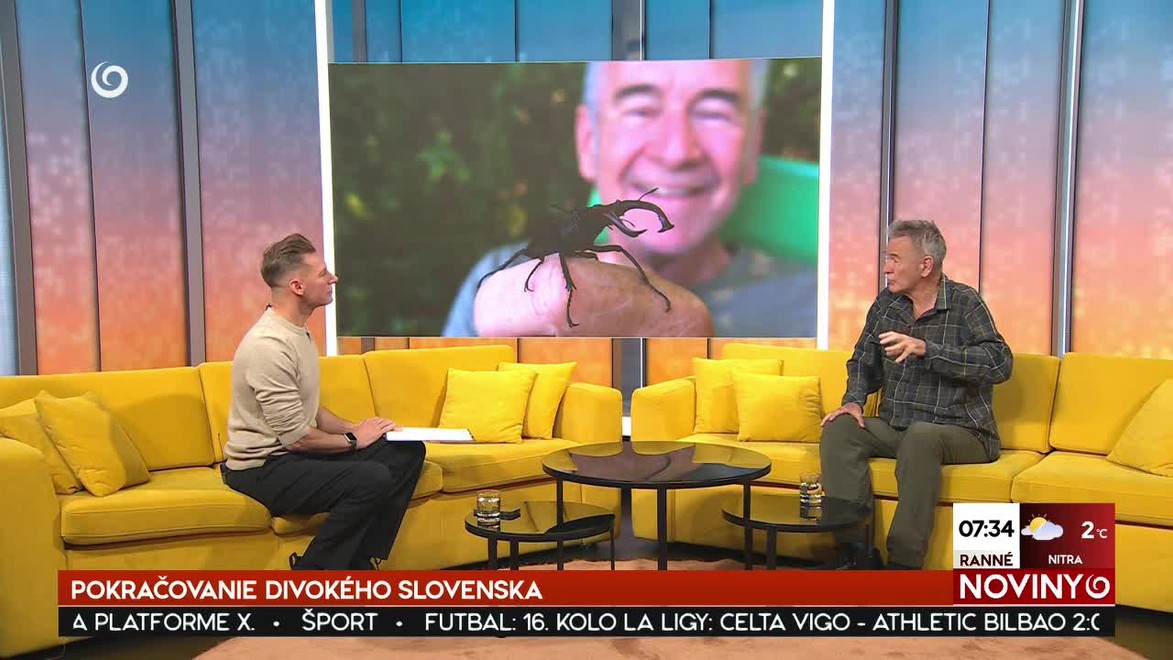 Ranné noviny na JOJke v znamení Vianoc:  koledy naživo, vianočné zvyky aj tváre tohtoročného Silvestra